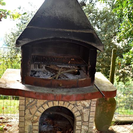 קיאנצ'נו טרמה Agriturismo Podere Biancospino Piscina Privata מראה חיצוני תמונה